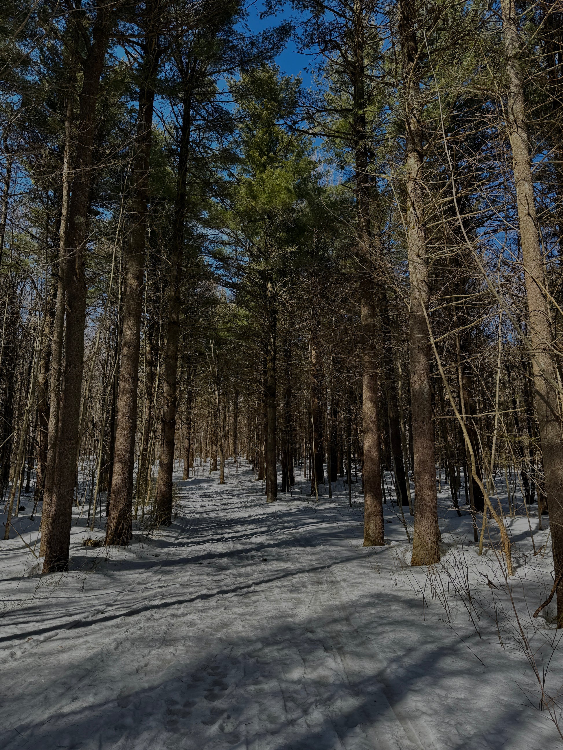 7 sessions of 60 minutes